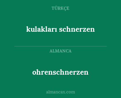 ohrenschnerzen - kulakları schnerzen