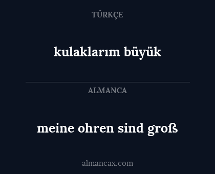kulaklarım büyük - meine ohren sind groß