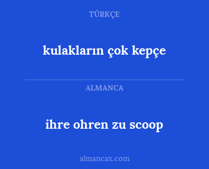 kulakların çok kepçe - ihre ohren zu scoop