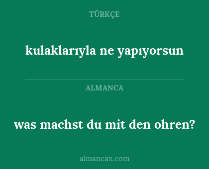 was machst du mit den ohren? - kulaklarıyla ne yapıyorsun