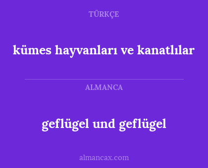 geflügel und geflügel - kümes hayvanları ve kanatlılar