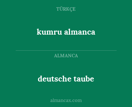 deutsche taube - kumru almanca