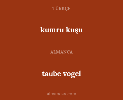 kumru kuşu - taube vogel