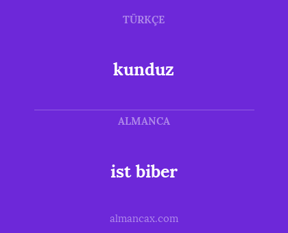 ist biber - kunduz