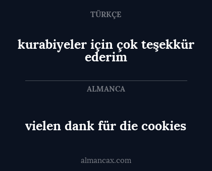 vielen dank für die cookies - kurabiyeler için çok teşekkür ederim