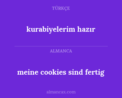 kurabiyelerim hazır - meine cookies sind fertig