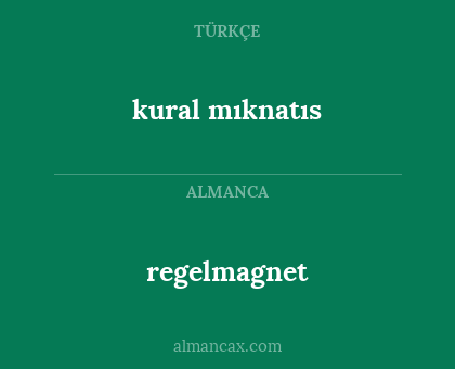 regelmagnet - kural mıknatıs