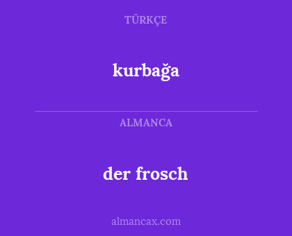 der frosch - kurbağa