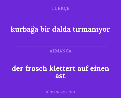 kurbağa bir dalda tırmanıyor - der frosch klettert auf einen ast