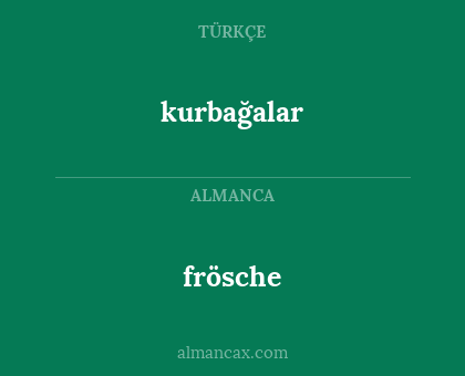 frösche - kurbağalar