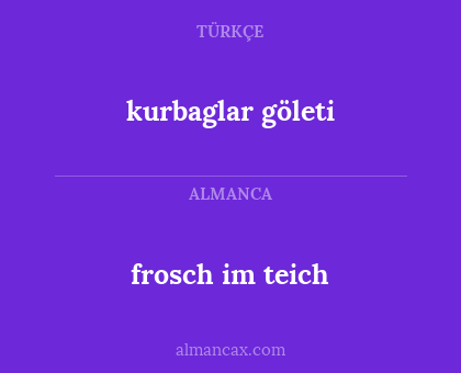 kurbaglar göleti - frosch im teich