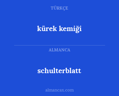 schulterblatt - kürek kemiği