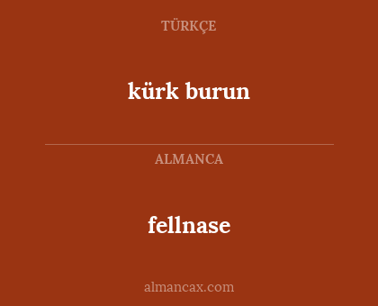 kürk burun - fellnase
