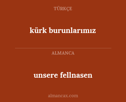 unsere fellnasen - kürk burunlarımız