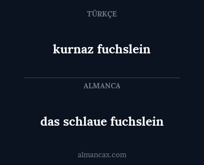 das schlaue fuchslein - kurnaz fuchslein