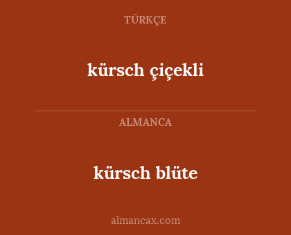 kürsch çiçekli - kürsch blüte