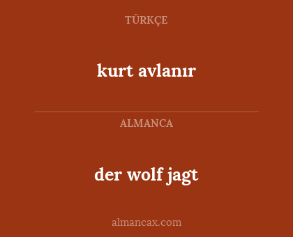 kurt avlanır - der wolf jagt