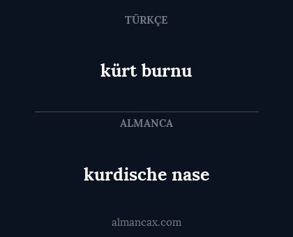 kürt burnu - kurdische nase