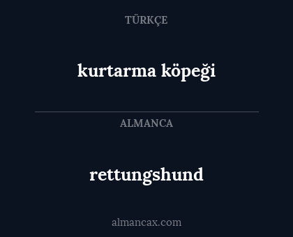 rettungshund - kurtarma köpeği