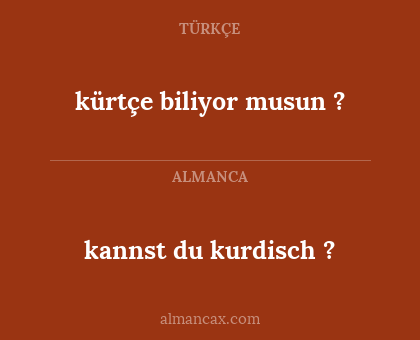 kannst du kurdisch ? - kürtçe biliyor musun ?