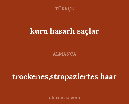 trockenes,strapaziertes haar - kuru hasarlı saçlar