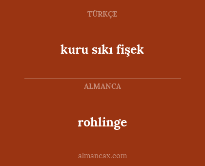 rohlinge - kuru sıkı fişek