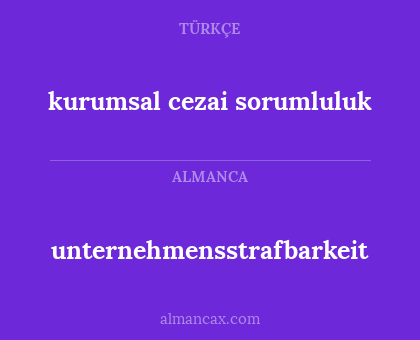 kurumsal cezai sorumluluk - unternehmensstrafbarkeit