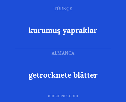 getrocknete blätter - kurumuş yapraklar