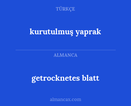 getrocknetes blatt - kurutulmuş yaprak
