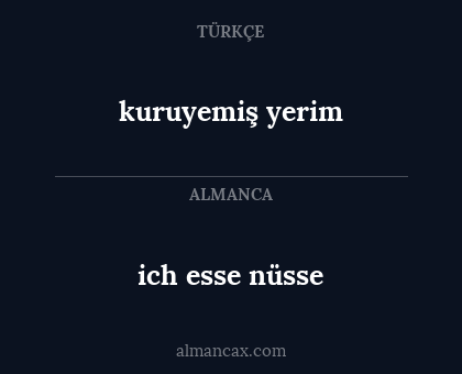 kuruyemiş yerim - ich esse nüsse