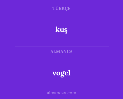vogel - kuş