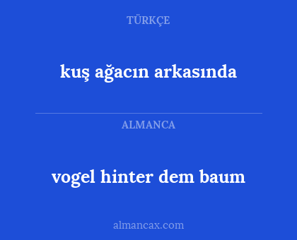 vogel hinter dem baum - kuş ağacın arkasında