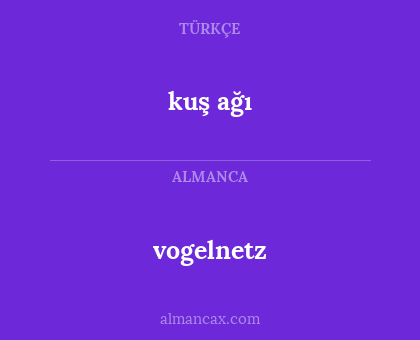kuş ağı - vogelnetz
