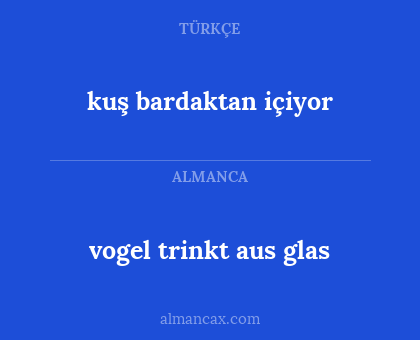 kuş bardaktan içiyor - vogel trinkt aus glas