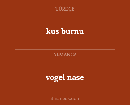 vogel nase - kus burnu