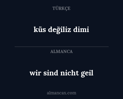 wir sind nicht geil - küs değiliz dimi