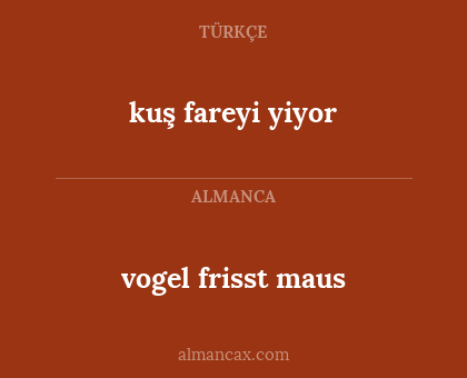 kuş fareyi yiyor - vogel frisst maus