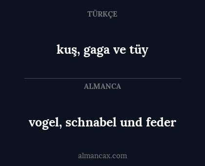 kuş, gaga ve tüy - vogel, schnabel und feder