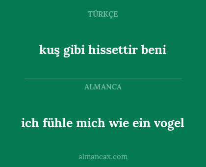 ich fühle mich wie ein vogel - kuş gibi hissettir beni
