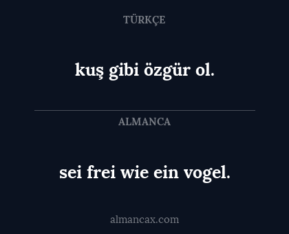kuş gibi özgür ol. - sei frei wie ein vogel.
