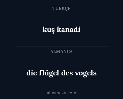 kuş kanadi - die flügel des vogels