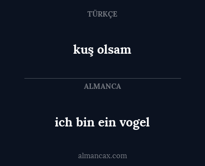 kuş olsam - ich bin ein vogel
