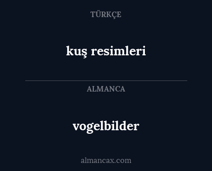 vogelbilder - kuş resimleri