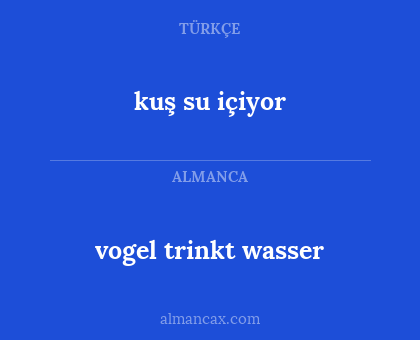 kuş su içiyor - vogel trinkt wasser