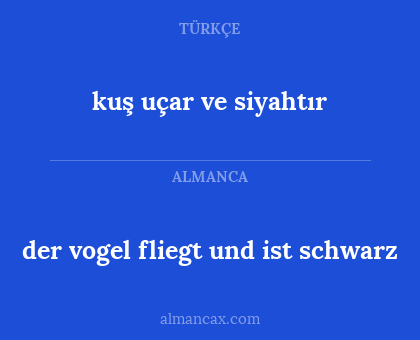 kuş uçar ve siyahtır - der vogel fliegt und ist schwarz