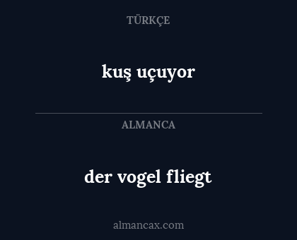 der vogel fliegt - kuş uçuyor