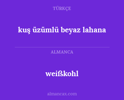 weißkohl - kuş üzümlü beyaz lahana