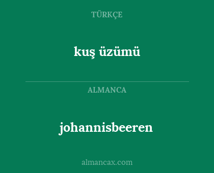 johannisbeeren - kuş üzümü