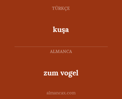 kuşa - zum vogel