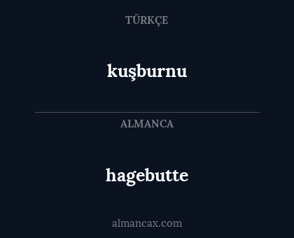 kuşburnu - hagebutte